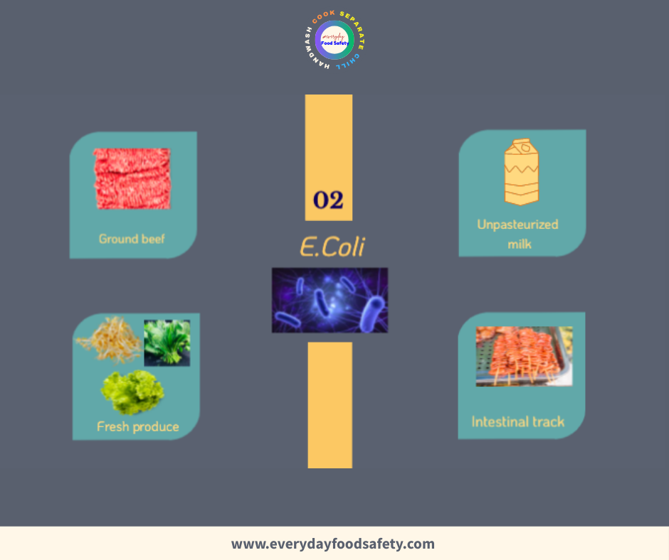 E Coli - Everyday Food Safety