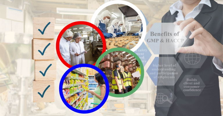 GMP Audit