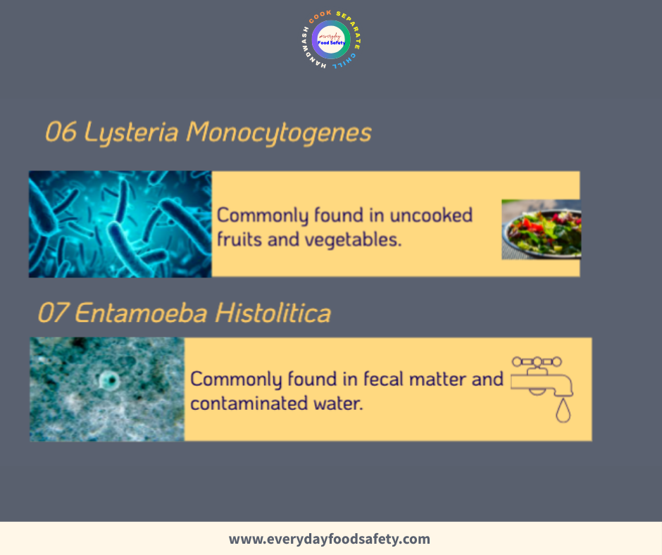 Lysteria Monocutogenes and Entamoeba Histolitica - Everyday Food Safety