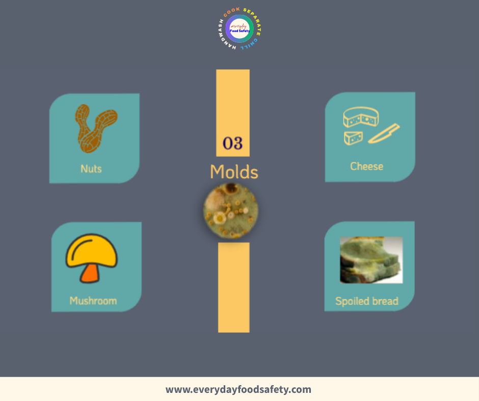 Molds - Everyday Food Safety