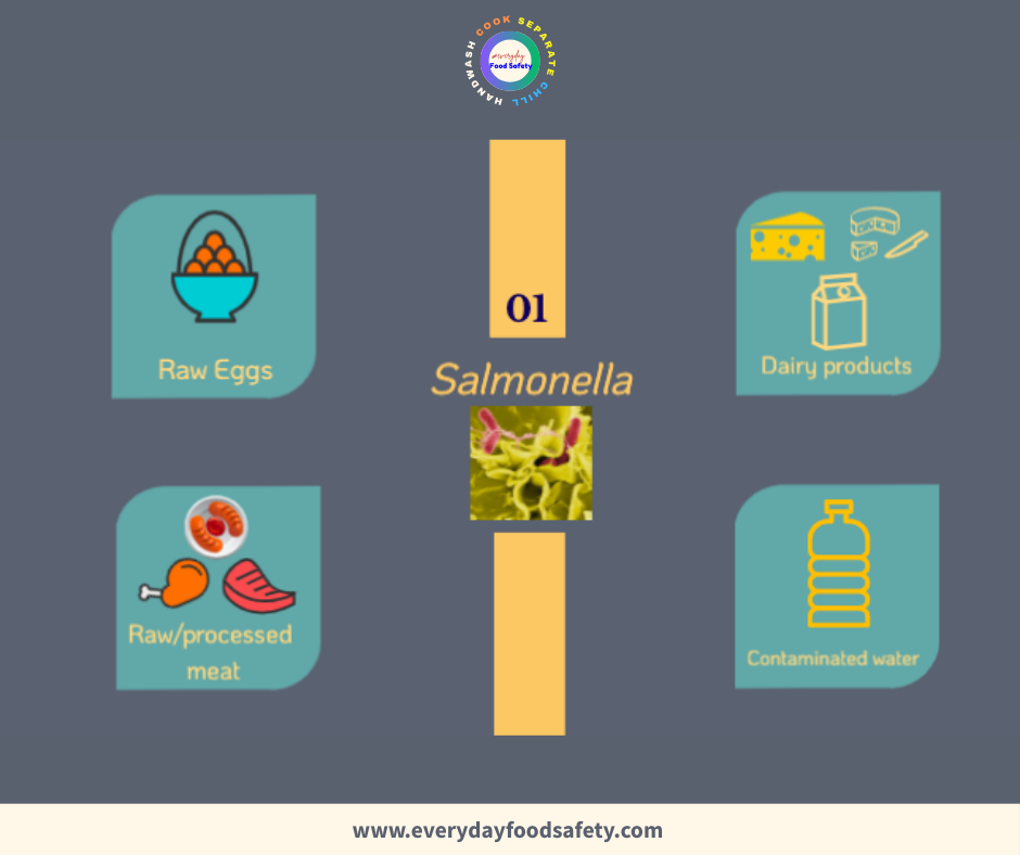 Salmonella - Everyday Food Safety