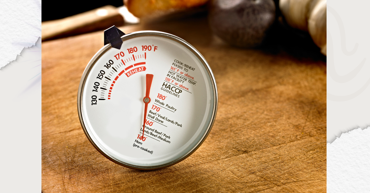 Best Thermometer for Food Safety